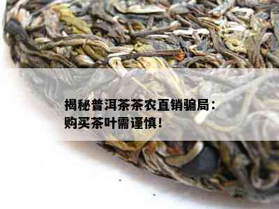 揭秘普洱茶茶农直销骗局：购买茶叶需谨慎！