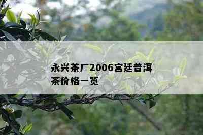 永兴茶厂2006宫廷普洱茶价格一览