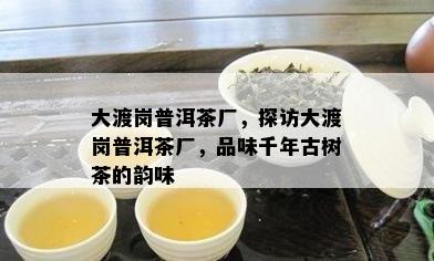 大渡岗普洱茶厂，探访大渡岗普洱茶厂，品味千年古树茶的韵味