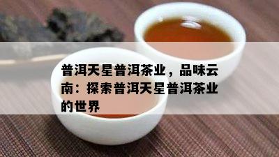 普洱天星普洱茶业，品味云南：探索普洱天星普洱茶业的世界