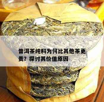 普洱茶纯料为何比其他茶更贵？探讨其价值原因