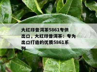 大红印普洱茶5861专供出口，大红印普洱茶：专为出口打造的优质5861系列