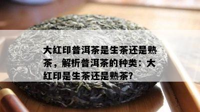 大红印普洱茶是生茶还是熟茶，解析普洱茶的种类：大红印是生茶还是熟茶？