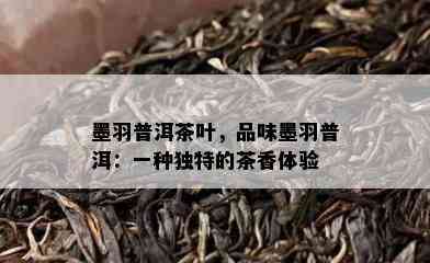 墨羽普洱茶叶，品味墨羽普洱：一种特别的茶香体验