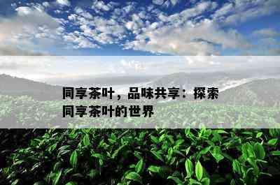 同享茶叶，品味共享：探索同享茶叶的世界