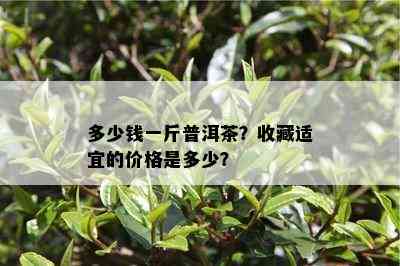 多少钱一斤普洱茶？收藏适宜的价格是多少？