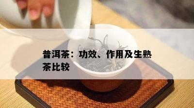 普洱茶：功效、作用及生熟茶比较