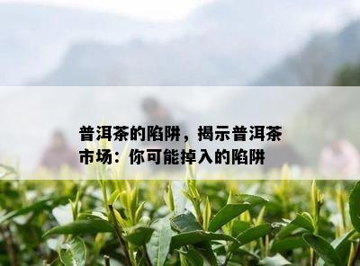 普洱茶的陷阱，揭示普洱茶市场：你可能掉入的陷阱