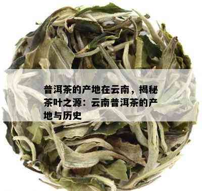 普洱茶的产地在云南，揭秘茶叶之源：云南普洱茶的产地与历史