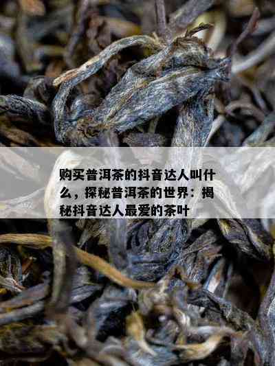 购买普洱茶的抖音达人叫什么，探秘普洱茶的世界：揭秘抖音达人更爱的茶叶