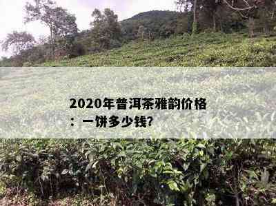 2020年普洱茶雅韵价格：一饼多少钱？