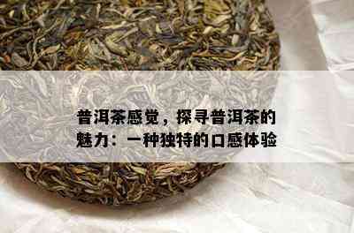 普洱茶感觉，探寻普洱茶的魅力：一种独特的口感体验