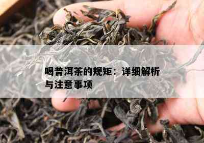 喝普洱茶的规矩：详细解析与注意事项