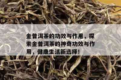 金普洱茶的功效与作用，探索金普洱茶的神奇功效与作用，健康生活新选择！