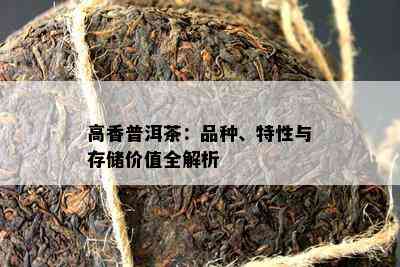 高香普洱茶：品种、特性与存储价值全解析