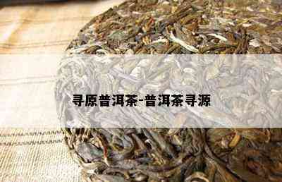 寻原普洱茶-普洱茶寻源