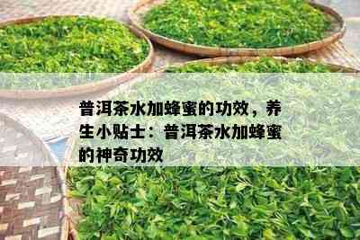 普洱茶水加蜂蜜的功效，养生小贴士：普洱茶水加蜂蜜的神奇功效