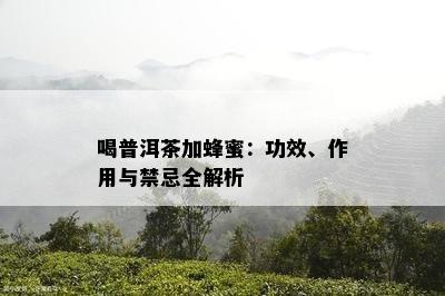 喝普洱茶加蜂蜜：功效、作用与禁忌全解析