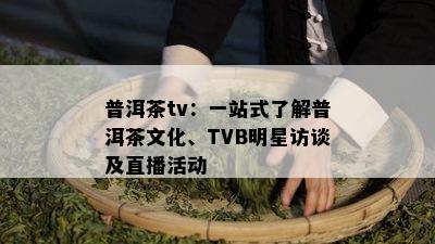 普洱茶tv：一站式了解普洱茶文化、TVB明星访谈及直播活动