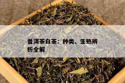 普洱茶白茶：种类、生熟辨析全解