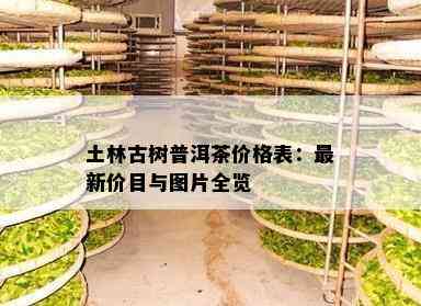 土林古树普洱茶价格表：最新价目与图片全览