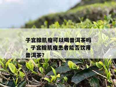 子宫腺肌瘤可以喝普洱茶吗，子宫腺肌瘤患者能否饮用普洱茶？