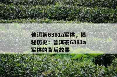 普洱茶6381a军供，揭秘历史：普洱茶6381a军供的背后故事