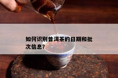 怎样识别普洱茶的日期和批次信息？