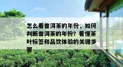 怎么看普洱茶的年份，怎样判断普洱茶的年份？看懂茶叶标签和品饮体验的关键步骤