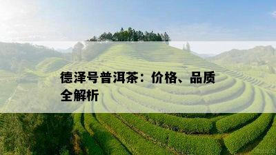 德泽号普洱茶：价格、品质全解析