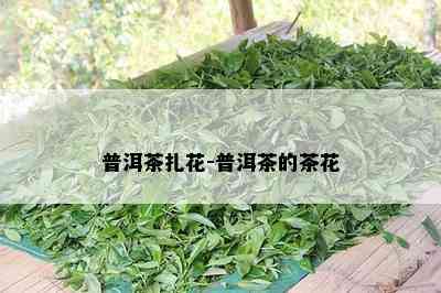 普洱茶扎花-普洱茶的茶花