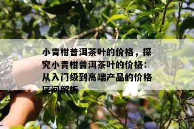 小青柑普洱茶叶的价格，探究小青柑普洱茶叶的价格：从入门级到高端产品的价格区间解析