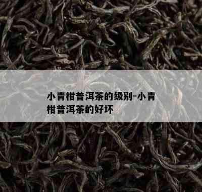 小青柑普洱茶的级别-小青柑普洱茶的好坏