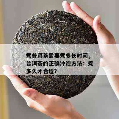 煮普洱茶需要煮多长时间，普洱茶的正确冲泡方法：煮多久才合适？