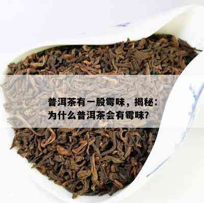 普洱茶有一股霉味，揭秘：为什么普洱茶会有霉味？