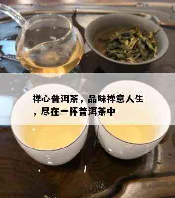 禅心普洱茶，品味禅意人生，尽在一杯普洱茶中