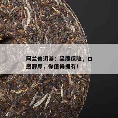 阿兰普洱茶：品质保障，口感醇厚，你值得拥有！