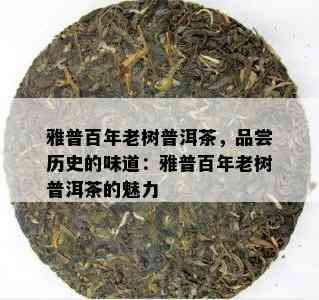 雅普百年老树普洱茶，品尝历史的味道：雅普百年老树普洱茶的魅力