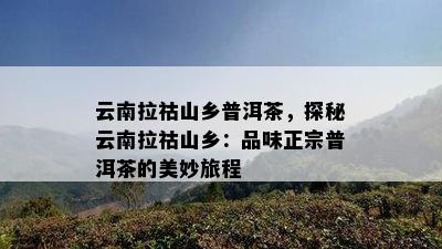 云南拉祜山乡普洱茶，探秘云南拉祜山乡：品味正宗普洱茶的美妙旅程