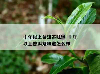 十年以上普洱茶味道-十年以上普洱茶味道怎么样