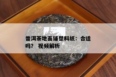 普洱茶地面铺塑料纸：合适吗？ 视频解析