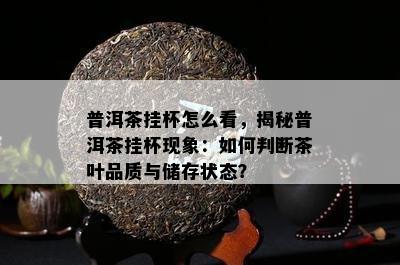 普洱茶挂杯怎么看，揭秘普洱茶挂杯现象：如何判断茶叶品质与储存状态？