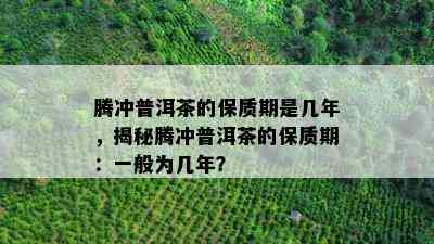 腾冲普洱茶的保质期是几年，揭秘腾冲普洱茶的保质期：一般为几年？