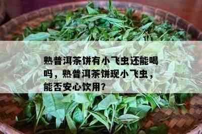 熟普洱茶饼有小飞虫还能喝吗，熟普洱茶饼现小飞虫，能否安心饮用？