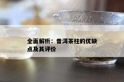 全面解析：普洱茶柱的优缺点及其评价