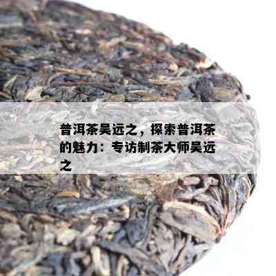 普洱茶吴远之，探索普洱茶的魅力：专访制茶大师吴远之