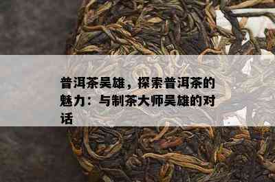 普洱茶吴雄，探索普洱茶的魅力：与制茶大师吴雄的对话