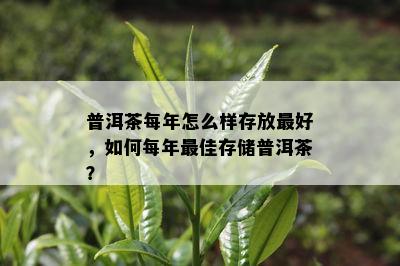 普洱茶每年怎么样存放更好，怎样每年更佳存储普洱茶？