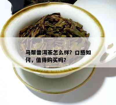 马帮普洱茶怎么样？口感怎样，值得购买吗？