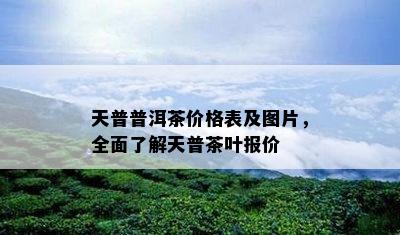 天普普洱茶价格表及图片，全面了解天普茶叶报价